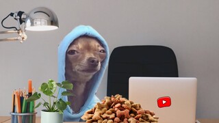 Top FUNNIEST pets compilation 😂 The Ultimate Funny Pets video 🤣🤣