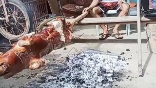 lechon