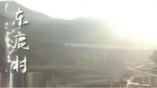 ฝูนี ดาวนำโชคตัวน้อย