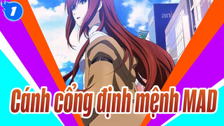 [Cánh cổng định mệnh] Tình yêu vượt qua dải phân định giữa các thế giới_1