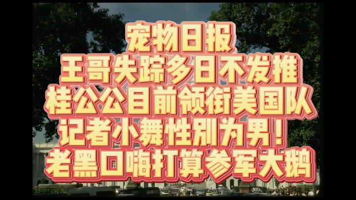 13 Mei, Wang Ge sudah beberapa hari tidak mengepos di Twitter, Xiaowu menganggap dirinya sebagai hew