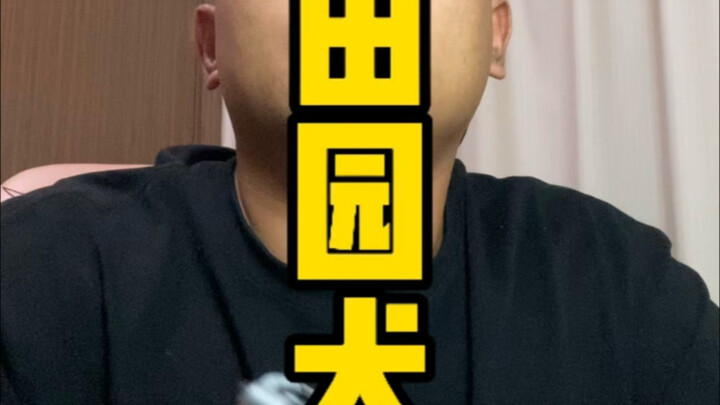 Chó nhà Trung Hoa, điểm nhấn của cuộc sống đồng quê, bảo vật của văn hóa Trung Hoa