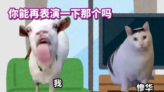 Peihua, can you perform that again? | cat meme