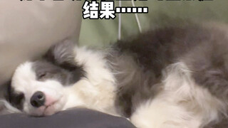 亲了她一口 擦脸擦了一晚上