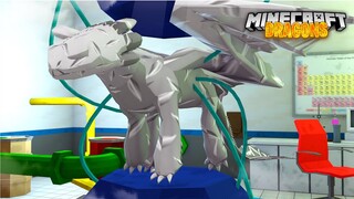 SECRET ROBOT NIGHTFURY DRAGONS LAB! - Minecraft Dragons