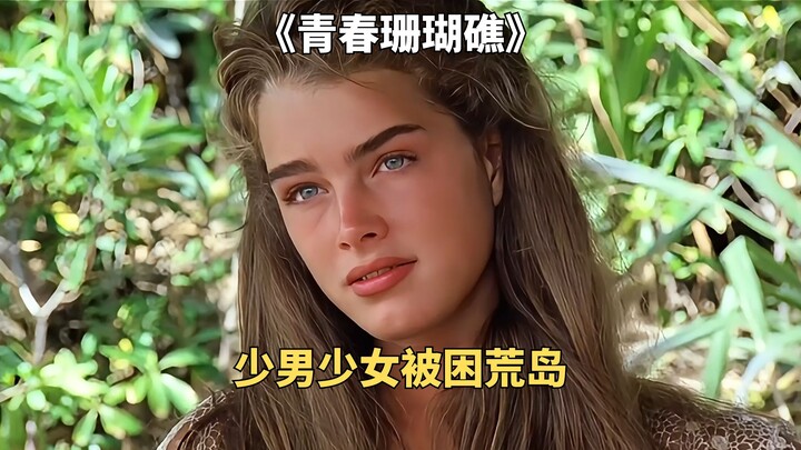 一男一女流落荒岛，多年以后却不想离开《青春珊瑚礁》