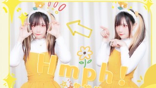 Hừ! Đưa một "bạn gái" nhõng nhẽo về nhà ăn Tết đi! 【Đăng Mèo Mèo】