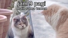 LIKA LIKU RAMADAN 😵💫