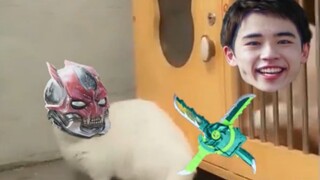 Video pertarungan langka antara Kamen Rider Kenzan dan Calamity