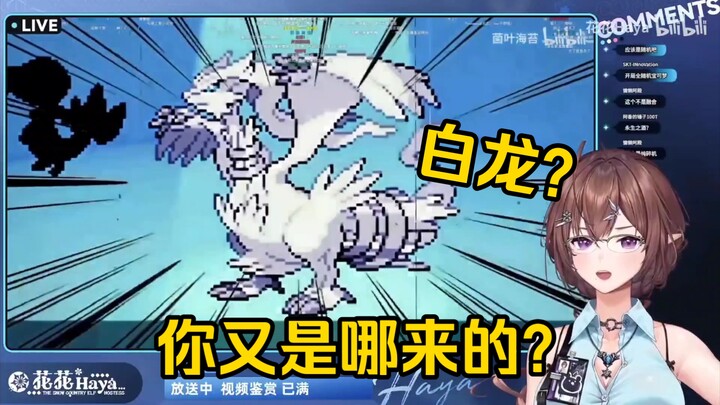 花花看《连爽文都不敢轻易采用的开局——随机宝可梦 合众篇 #1》当场绷不住了！“真的纯随机，直接抓抓抓！！！”