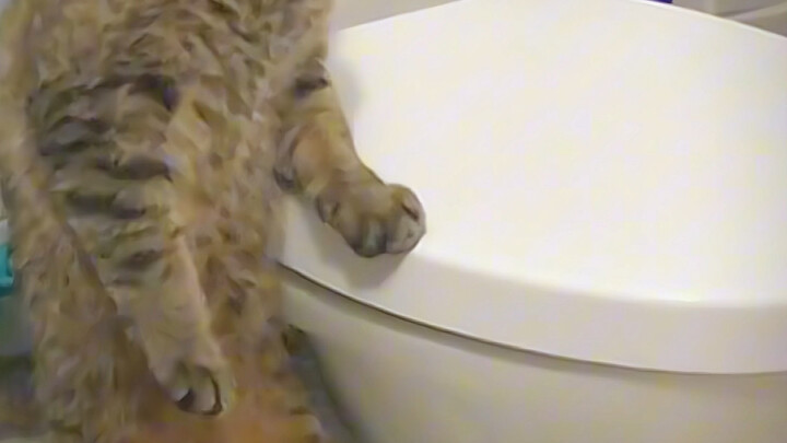 มาร์แซย์สุดลับ วัดาซีวา ที่สุดก็ถ่ายออกมาได้แล้ว