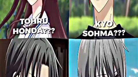 my favorites anime fruits baskets