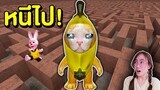 เจ้าแมวกล้วยบุกเขาวงกต Banana Cat | Mind&Nat