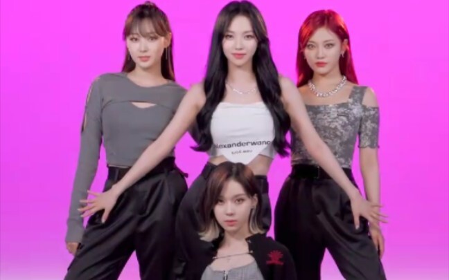 جمالية الفرقة النسائية التي أحبها أنا وشخص من الجنس الثالث وابنة أخي وكلب شيه تزو (وجهة نظر شخصية)