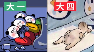当 代 大 学 生 夜 聊 现 状