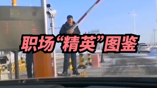 【Xige】When bosses encounter these workplace "elites," they can't help but secretly smile with deligh