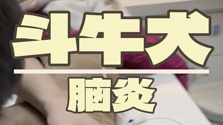 Everyone wants to see Captain Huang, so here's a little bonus clip of Captain Huang at the end for y