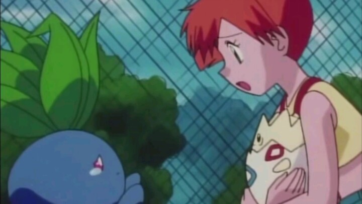 Walking Grass: I must be a special color of shuttlecock grass