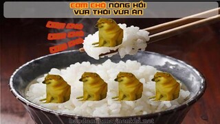 Dương Luật Official - Cẩu lương everywhere #20