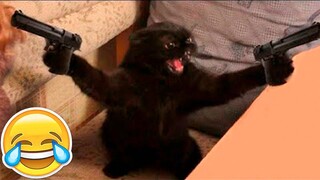 Meme compilation 🐶😹 The best meme compilation about funny animals