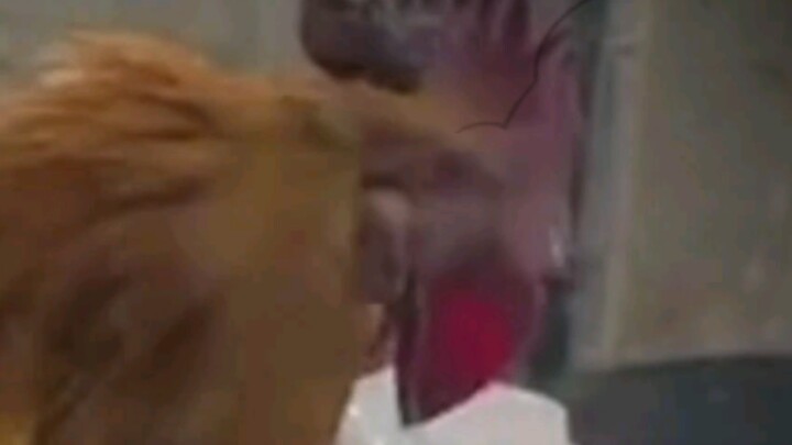 “Early Human Stew Chicken”
