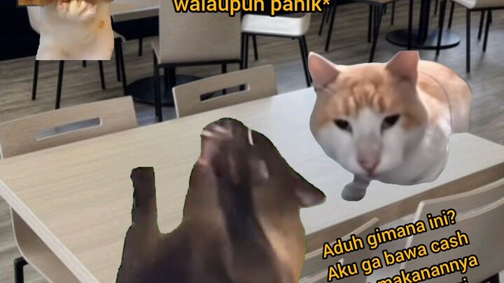 POV pas lagi panik-paniknya 😭 #catmemes #fyp #relatable #hiburankucing #pov
