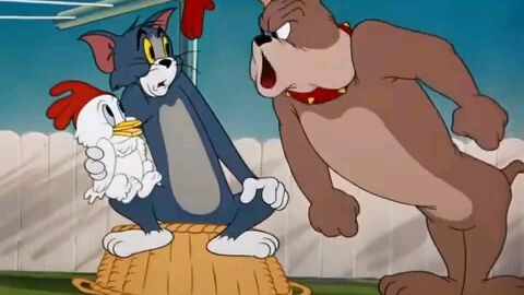 Classic Tom and Jerry Short Clips❤️❤️🤣🤣