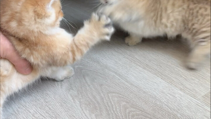 Chơi cũng khá vui, lần sau đừng chơi nữa nhé