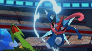 Di area yang penuh dengan evolusi Mega, gunakan saja Ninja untuk berjuang keluar!