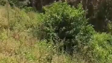 paputa Pala kami jud sa miasong