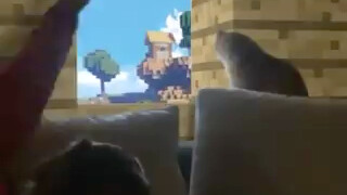 Minecraft Cat Kitty