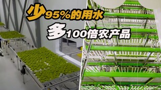 “垂直农场”如何生产100倍于土地的农产品（双语字幕）