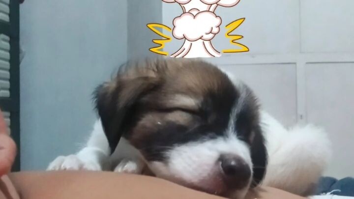 sleep