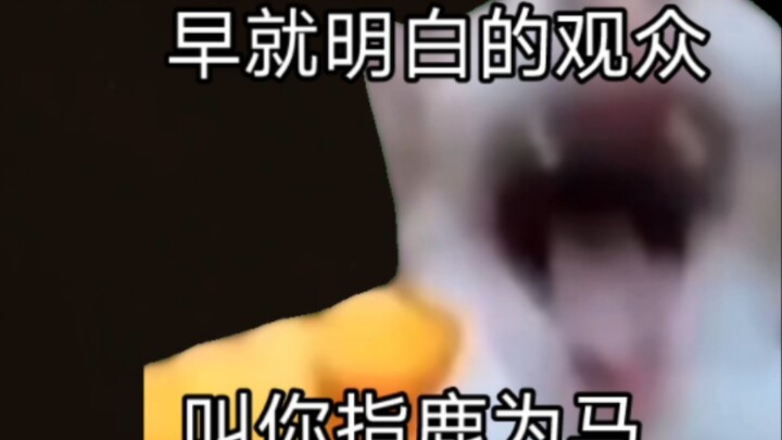 (Cat meme) The current situation of the King of Kings