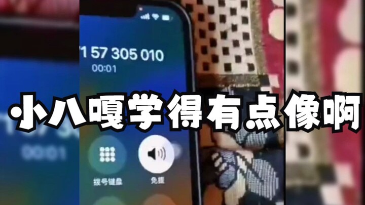 Netizen gets a scam call from someone pretending to be Japanese—this “little baka” really nails the 
