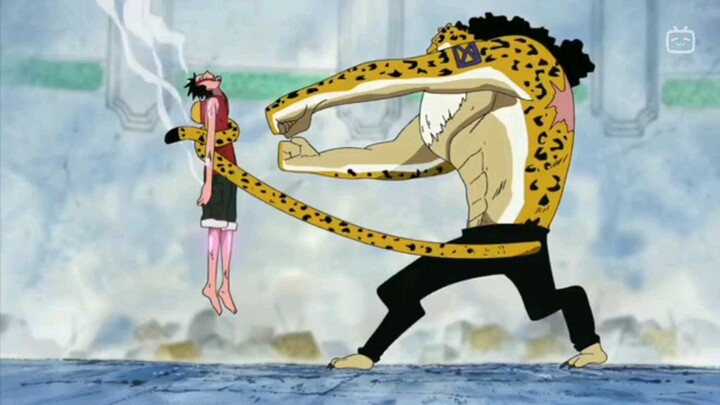 arc terfavorit
