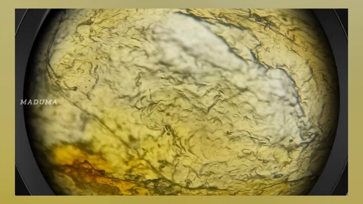 Mysterious Particles Under The Microscope