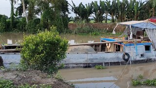 Chài Cá Vồ Đém Nấu Canh Chua Và Kho Tiêu Tiếp Đãi Bà Con Đỗ Đá Chống Lầy Mùa Mưa Bão