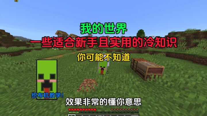 [Minecraft] Some Little-Known Trivia/Useful Tips!