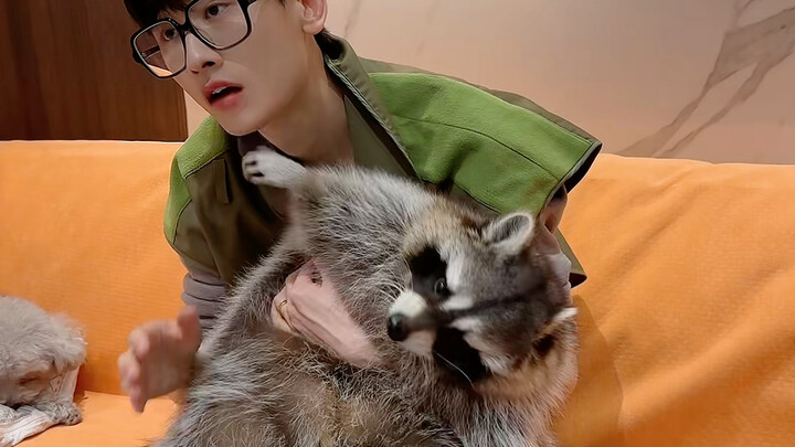 Cùng Tiểu Tiểu xem TV #Dự Án Ra Mắt Thú Cưng Dễ Thương #Gấu Rừng Nhỏ