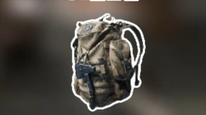 Sharp Review of Delta Force Backpacks