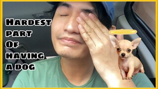 THANK YOU FOR EVERYTHING ANGEL SHIA | SUPER MARCOS VLOGS