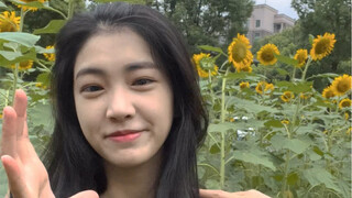 Mọi người hãy vui vẻ và rạng rỡ như hoa hướng dương nhé!