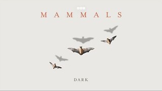 Mammals_2024_S01E01_Dark