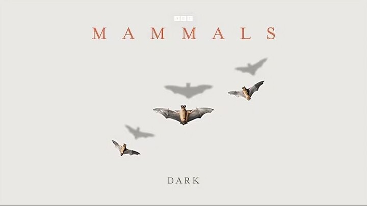 Mammals_2024_S01E01_Dark