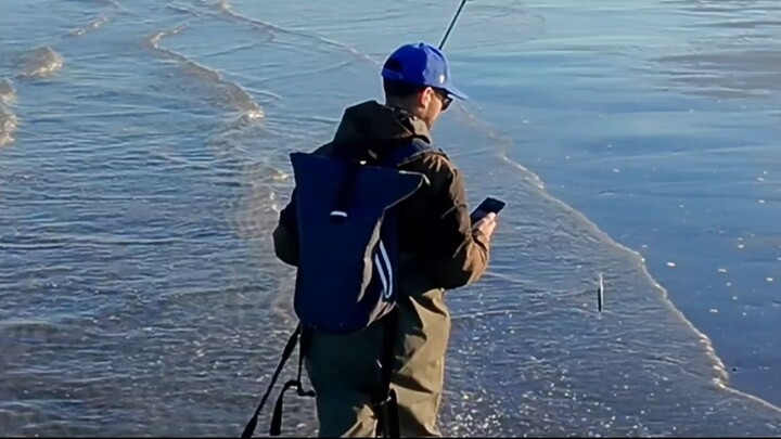 Hunting seabass