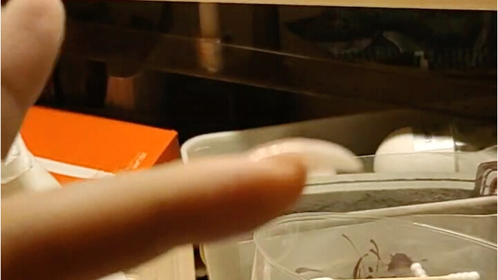 Oh no, Cat Girl Armor!