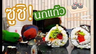 รีวิวนกแก้ว: มาทำซูชินกแก้วกันเถอะ Birdyard Cooking EP.33