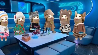 Vòng thứ ba của cuộc thi kẹp