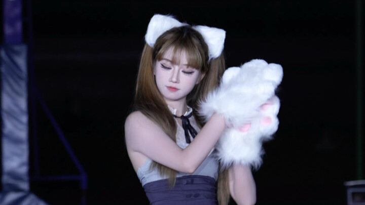 Mèo mèo bopeepbopeep